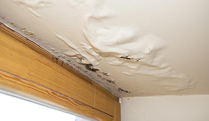 Ceiling damage Ceiling damage
