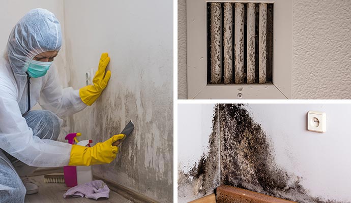 Collage of mold remediation, moldy vent and mold on wall corner