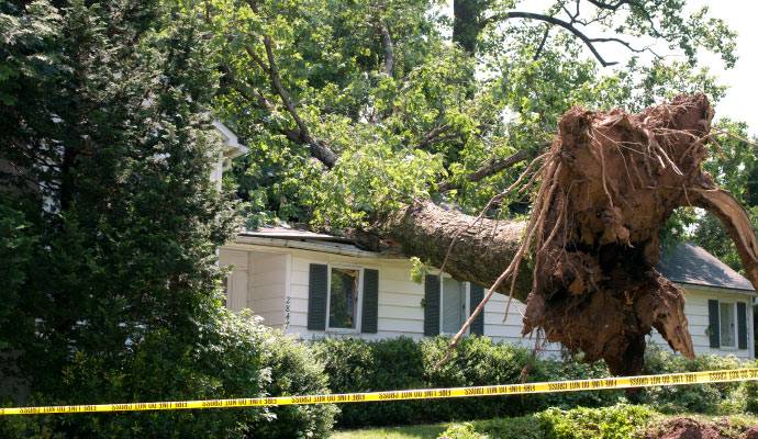 Disaster damaged property