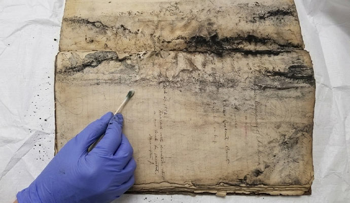Professional removes mold from paper