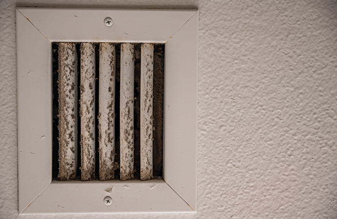 HVAC mold HVAC mold