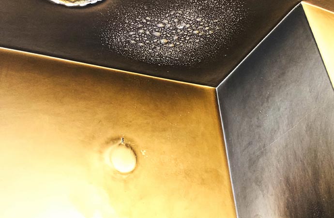 Smoke Odor Removal