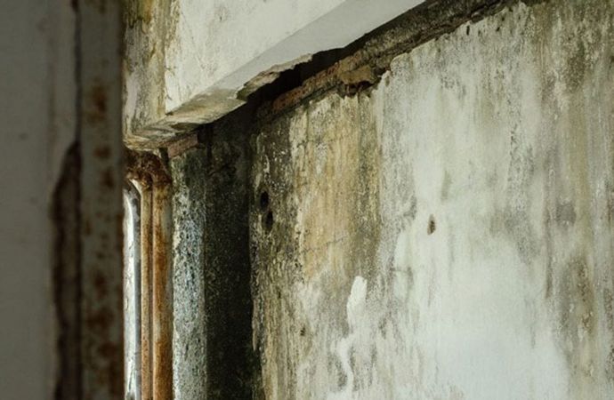 Structural mold damage Structural mold damage