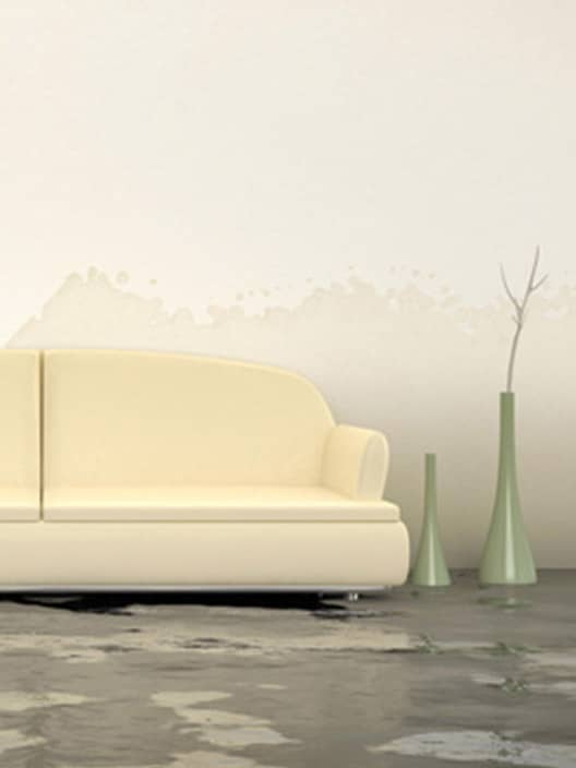 Water Damage Restoration