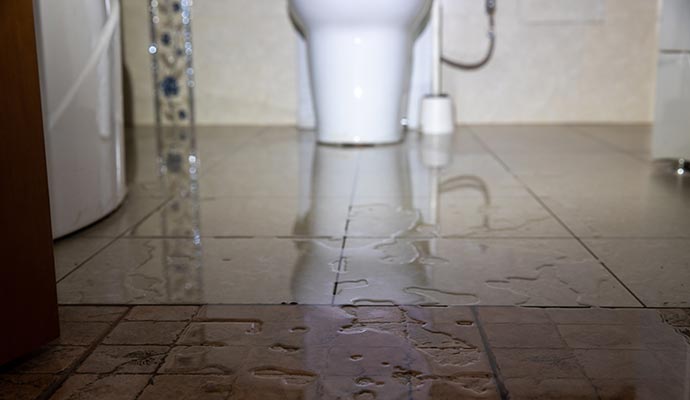 Sewer line leakage